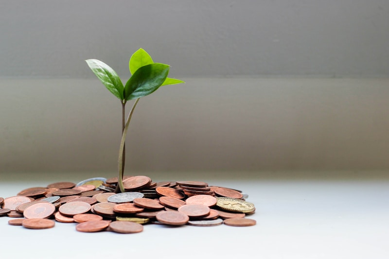 Assurance-vie : comment bien investir 2026